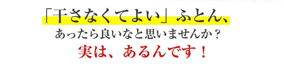「干さなくてよい」ふとん、実はあるんです