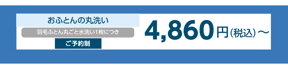 羽毛ふとん丸洗い