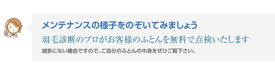 ふくらまない、ほか