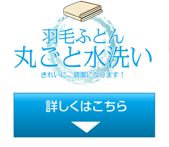 ふとん丸ごと水洗い