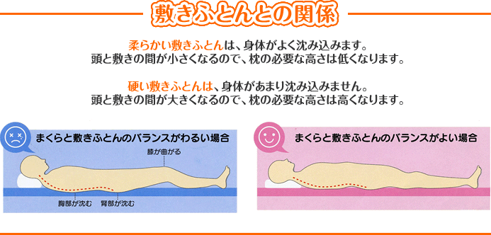 敷きふとんとの関係