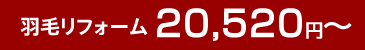 羽毛リフォーム20,520円～